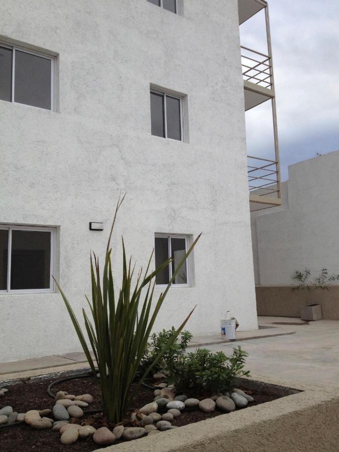 Cuatro Design Apartment Mendoza Dış mekan fotoğraf